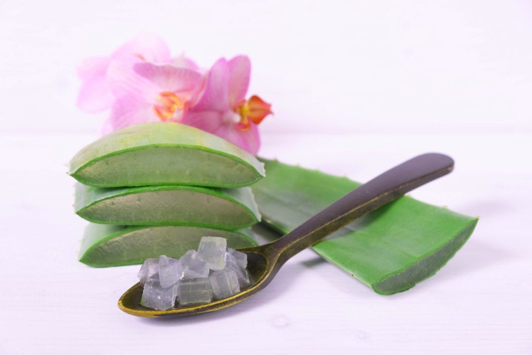 Aloe vera: Τα οφέλη και η χρήση του θαυματουργού συστατικού στο δέρμα μας