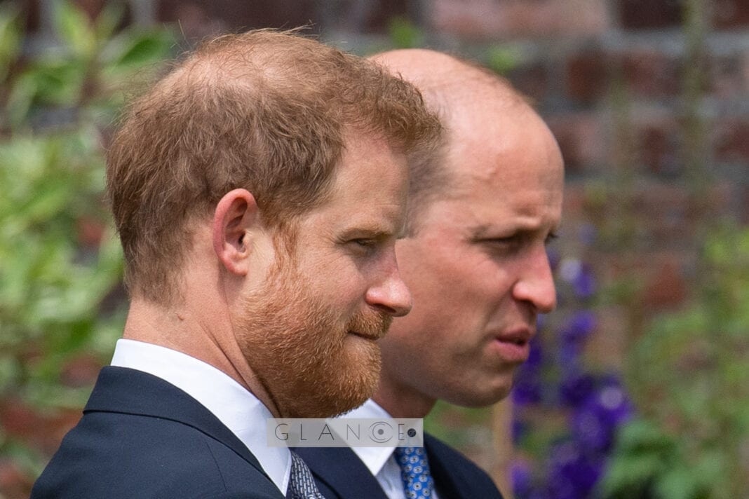 Πρίγκιπας William και Harry: 