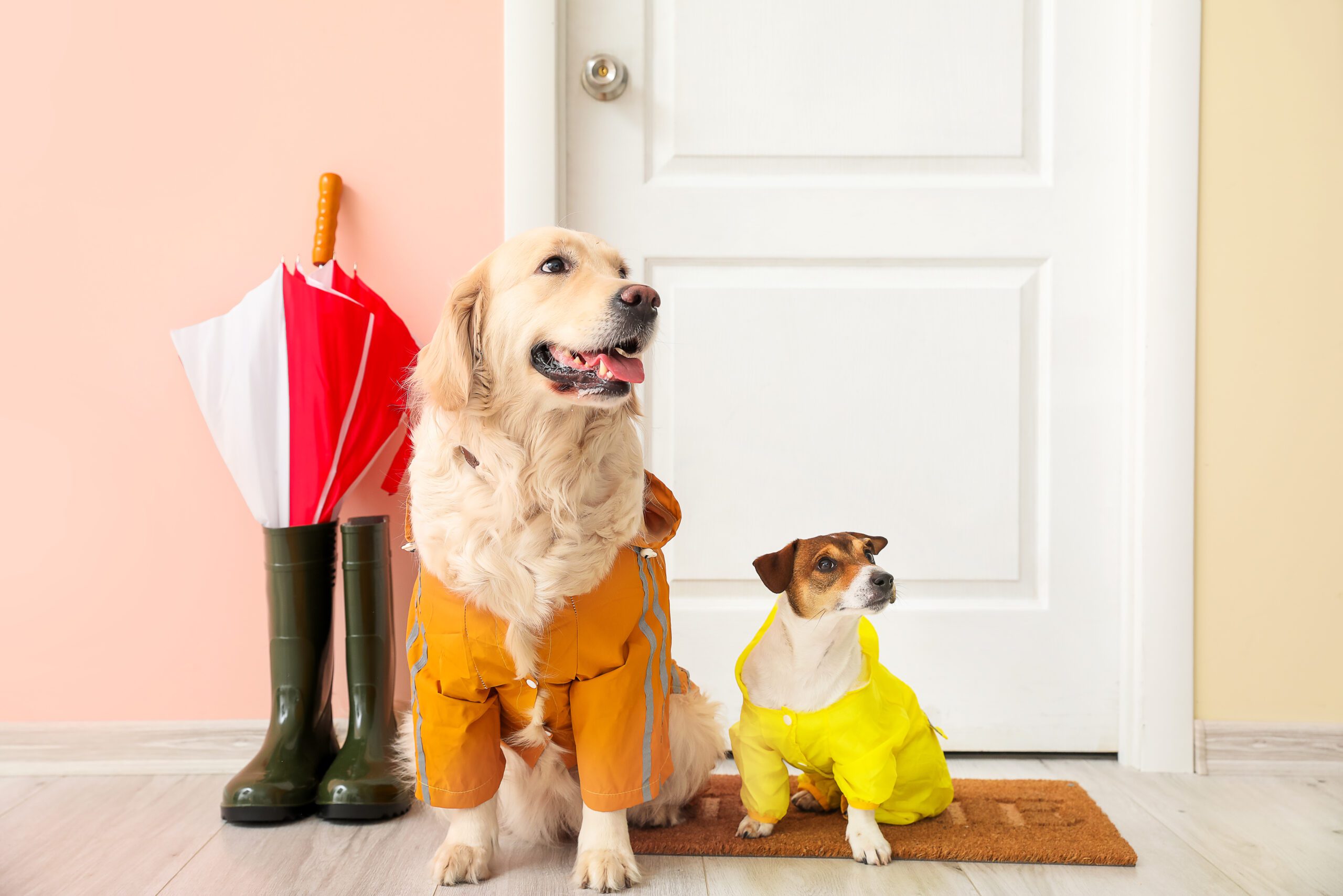 Fashion Items: Όταν ο σκύλος σου παραδίδει μαθήματα στυλ!