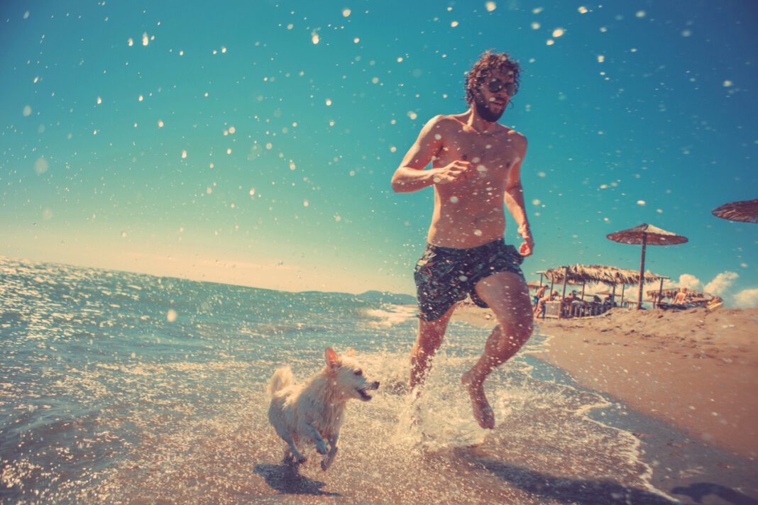 Καλοκαίρι με το σκύλο σας στην παραλία: Δείτε τι πρέπει να προσέξετε