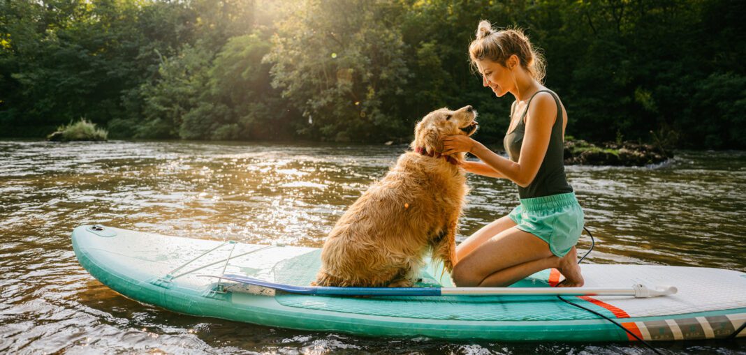 Σκύλος και ζέστη: 3 συμβουλές για ένα δροσερό καλοκαίρι με το ζωάκι σας