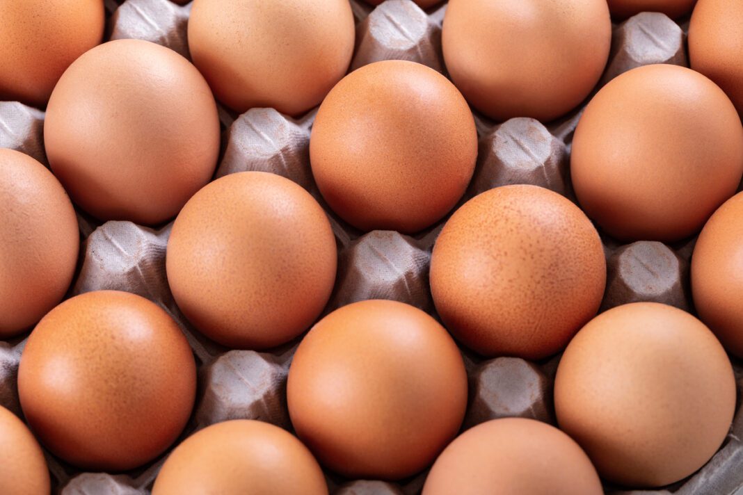 Ο ΕΦΕΤ κρούει τον κώδωνα του κινδύνου: Τι πρέπει να προσέξετε καλά πριν αγοράσετε αυγά